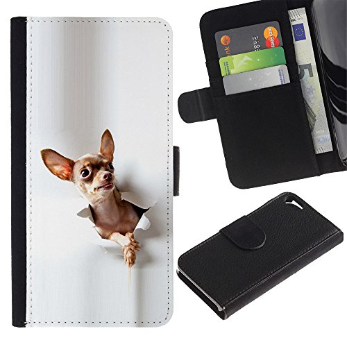 6229554071722 - BE GOOD PHONE ACCESSORY // LEATHER WALLET CASE CARD HOLDER FLIP POUCH FOR APPLE IPHONE 5 / 5S // CHIHUAHUA SMALL PET CANINE FASHION WHITE