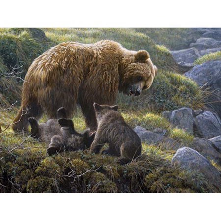 0625012545846 - GRIZZLY AND CUBS