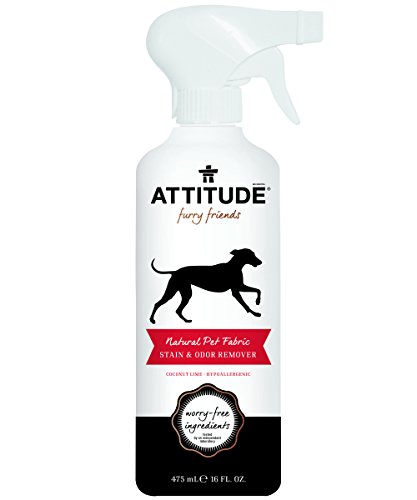 0626232825008 - ATTITUDE NATURAL PET FABRIC STAIN AND ODOR REMOVER, COCONUT LIME, 16 FLUID OUNCE