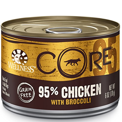 0628244294124 - WELLNESS CORE 95% GRAIN FREE CHICKEN & BROCCOLI NATURAL WET CANNED DOG FOOD, 6-OUNCE CAN (PACK OF 24)