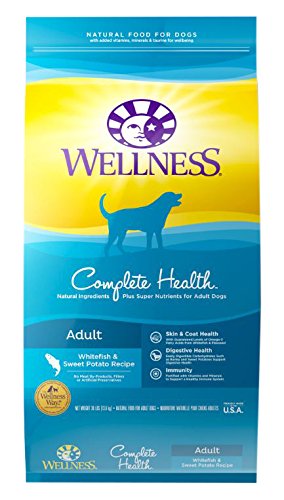 0628244294353 - WELLNESS COMPLETE HEALTH NATURAL DRY DOG FOOD, WHITEFISH & SWEET POTATO, 30-POUND BAG