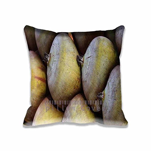 6293056328967 - COCO BABACU INDOOR/OUTDOOR THROW PILLOW COVER,20 SQUARE PILLOW COVERS