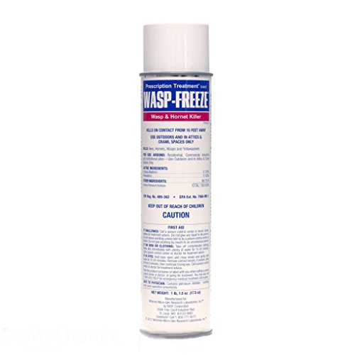 0631589051802 - BEE AND WASP SPRAY: PROFESSIONAL FREEZE 17.5 OZ.