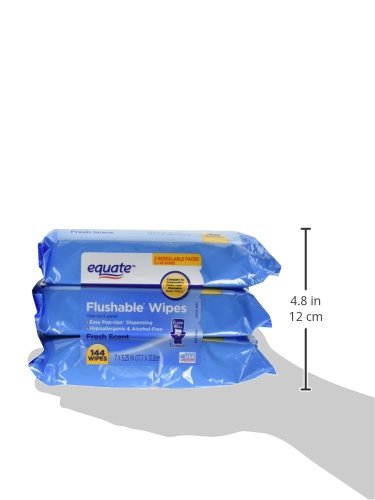 0633585740902 - EQUATE FLUSHABLE WIPES 6-PACK (288 WIPES TOTAL)