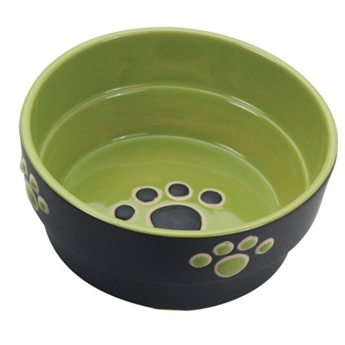 0634252075549 - ETHICAL PET PRODUCTS (SPOT) DSO6899 FRESCO STONEWARE DOG DISH, 5-INCH, GREEN