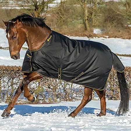 0635901033651 - BUCAS IRISH EXTRA HEAVYWEIGHT HORSE TURNOUT BLANKET - SIZE:75 COLOR:BLACK/GOLD