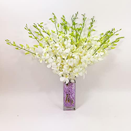 0636358000746 - ATHENA’S GARDEN FRESH CUT ORCHIDS 20 STEMS DENDROBIUM WHITE ORCHIDS FLOWERS WITH VASE AND ROCKS