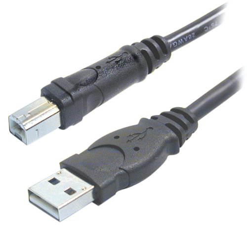 0638084544266 - BELKIN HI-SPEED USB 2.0 CABLE (10 FEET)