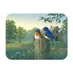 0638608923812 - TUFTOP COUNTRY MORNING BLUEBIRDS CUTTING BOARD - SIZE: SMALL (9X12)