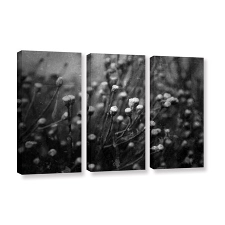 0640823276031 - ANTICIPATION OF BY MARK ROSS 3 PIECE PHOTOGRAPHIC PRINT ON GALLERY WRAPPED CANVAS SET