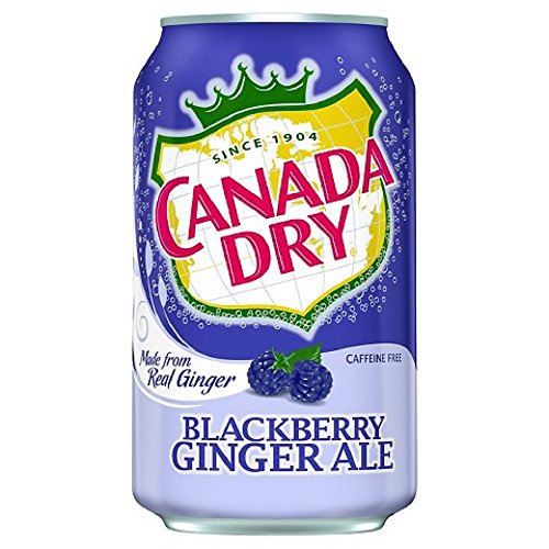 0640852924248 - CANADA DRY GINGER ALE BLACKBERRY SODA CANS, 12 OZ (24 PACK)