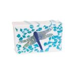 0640986101416 - BAR SOAP IN PILLOW PACK DRAGONFLY