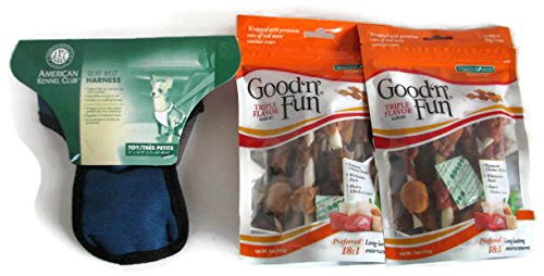 0641489961521 - HEALTHY HIDE GOOD N FUN TRIPLE FLAVOR KABOBS 4 OZ 2 PACK WITH AKC TOY DOG 2 IN 1 SEAT BELT HARNESS