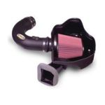 0642046242435 - 251-243 COLD AIR DAM INTAKE SYSTEM SYNTHAMAX
