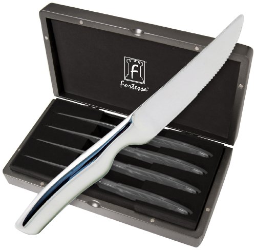 0646292402506 - FORTESSA PRIME CUT 4-PIECE STEAK KNIFE WITH STAINLESS STEEL HANDLE SET WITH BOX, 9.5-INCH, MIRROR FINISH