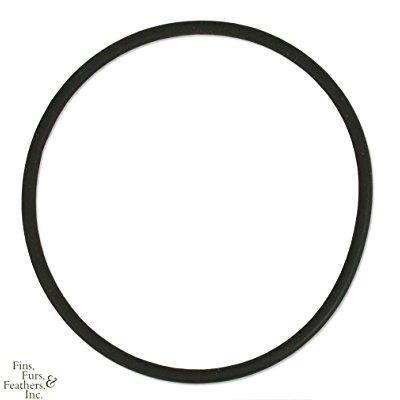 0646392021867 - CPR BAK-PAK 2 COLLECTION CUP O-RING
