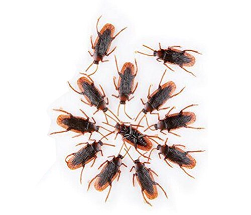 0647356123993 - MIL FAKE ROACHES PRANK NOVELTY COCKROACH BUGS LOOK REAL (12PCS)