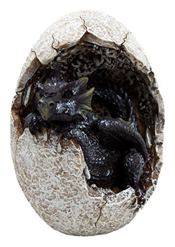 0648609564624 - ATLANTIC COLLECTIBLES FOSSIL TWILIGHT ONYX DRAGON HATCHLING BREAKING OUT OF EGG SHELL DECORATIVE FIGURINE
