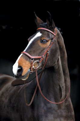 0649982448204 - RAMBO MICKLEM COMPETITION BRIDLE PONY BLACK