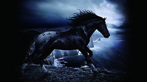 6517219256202 - BALA FUN 27X40CM WALLPAPER BLACK HORSE POSTER CUSTOM HOME DECOR UNFRAMED FASHION 10X15INCH