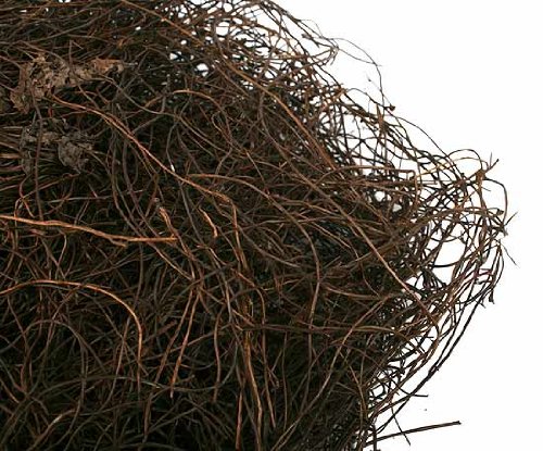 0652695738807 - 12 OZ. PACKAGE- NATURAL TWIG ANGEL HAIR VINE- FOR CRAFTS, FLORAL ARRANGING AND MORE