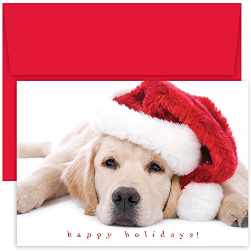 0662790890874 - GREAT PAPERS! HOLIDAY GREETING CARD, SANTA PUPPY, 18 CARDS/18 ENVELOPES, 7.875 X 5.625