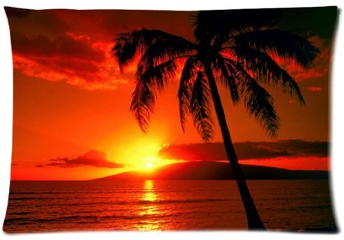 6635423464791 - STANDARD-STORE CUSTOM HAWAII SUMMER BEACH PALM TREE BLUE SEA SUNSET ZIPPERED PILLOW CASES COVERS STANDARD SIZE 20X30(TWIN SIDES)