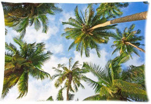 6635423465217 - STANDARD-STORE CUSTOM HAWAII SUMMER BEACH PALM TREE BLUE SEA SUNSHINE ZIPPERED PILLOW CASES COVERS STANDARD SIZE 20X30(TWIN SIDES)