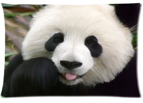 6635423466016 - STANDARD-STORE CUSTOM CUTE AND LOVELY PANDA ZIPPERED PILLOW CASES COVERS STANDARD SIZE 20X30(ONE SIDE)