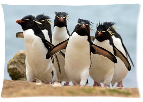 6635423469840 - STANDARD-STORE CUSTOM LOVELY FUNNY PENGUINS ZIPPERED PILLOW CASES COVERS STANDARD SIZE 20X30(TWIN SIDES)