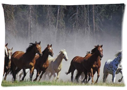 6635423690282 - FABULOUS STORE CUTSOM WILD RUNNING HORSES ZIPPERED PILLOW CASES COVERS STANDARD SIZE 20X30(TWIN SIDES)