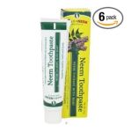 0666183000420 - THERANEEM NEEM TOOTHPASTE NEEM THERAP WITH MINT