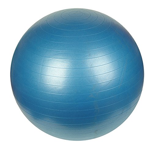  Sunny Health & Fitness Anti-Burst Gym Ball, 75 CM