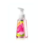 0667523628298 - AND ANTI-BACTERIAL SWEET PEA GENTLE FOAMING HAND SOAP