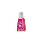 0667525349887 - HOLIDAY TRADITIONS WINTER CANDY APPLE POCKETBAC ANTI-BACTERIAL HAND GEL