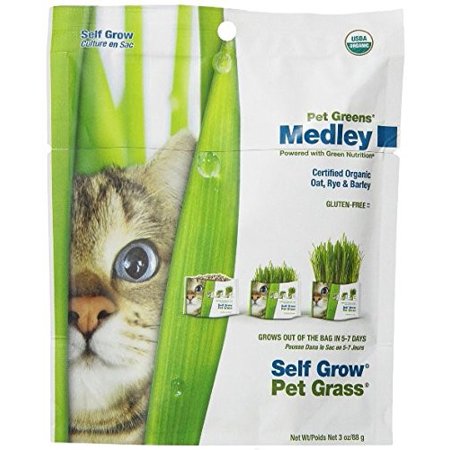 0669828575703 - BELLROCK GROWERS PET GREENS MEDLEY PET TREAT
