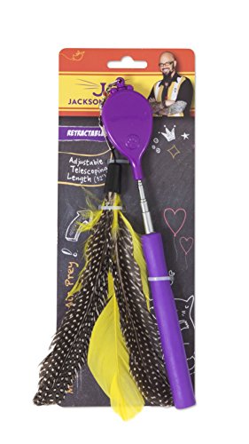 6709309329976 - JACKSON GALAXY AIR WAND WITH 1 TOY