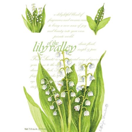 0671770006853 - FRESH SCENTS SCENTED SACHETS - LILY OF THE VALLEY, LOT OF 6