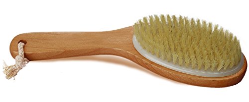 0678021712228 - WHOLESOME BEAUTY DRY SKIN BODY BRUSH WITH CURVED WOOD HANDLE AND HANGING LOOP