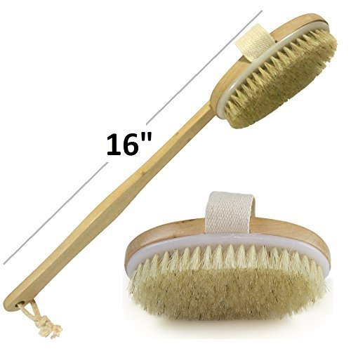 0678021712235 - WHOLESOME BEAUTY DRY SKIN BODY BRUSH WITH REMOVABLE 11-INCH WOOD HANDLE