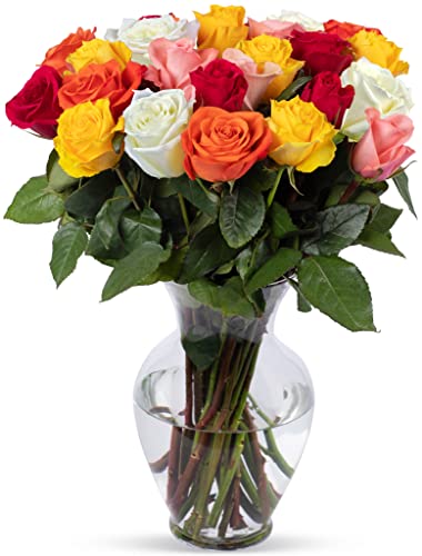 0680255040831 - BENCHMARK BOUQUETS 2 DOZEN RAINBOW ROSES, WITH VASE (FRESH CUT FLOWERS)