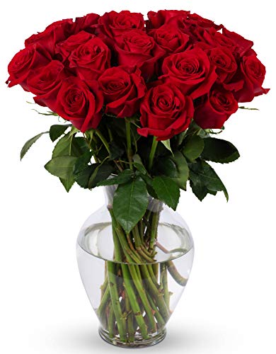 0680255040893 - BENCHMARK BOUQUETS 2 DOZEN RED ROSES, WITH VASE (FRESH CUT FLOWERS)
