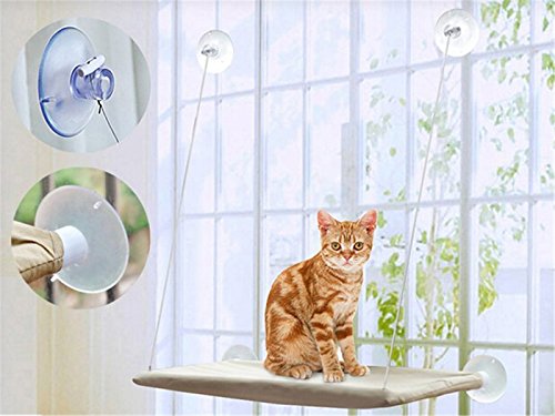 6838962106898 - GENERIC WINDOW MOUNT CAT BED PET HAMMOCK PET HOME SUCTION CUP RESTING SEAT