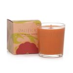 0687735027559 - PACIFICA SOY BOXED GLASS CANDLE TUSCAN BLOOD ORANGE