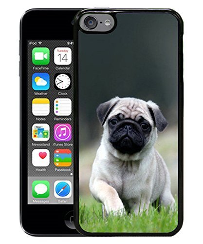 6887248445305 - CUTE PUG DOG IN GRASS BLACK FOR IPOD TOUCH 6 CASE