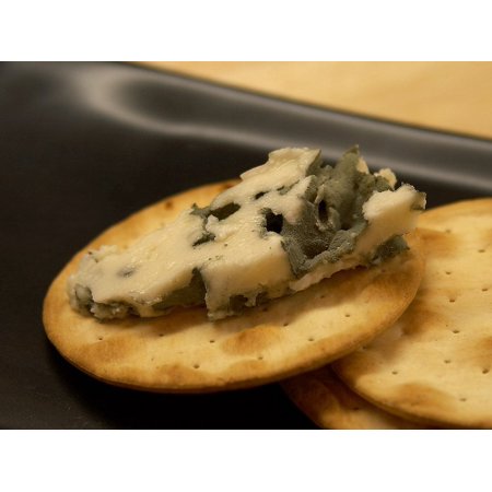 0689330537778 - LAMINATED POSTER ROQUEFORT BLUE MOLD NOBLE MOLD MOLD CHEESE POSTER PRINT 24 X 36
