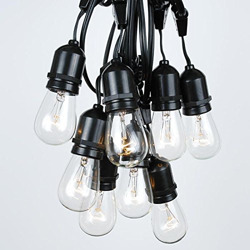 0689466523669 - S14 CLEAR EDISON OUTDOOR STRING LIGHTS BY NOVELTY LIGHTS - COMMERCIAL GRADE STRING LIGHTS WITH HANGING SOCKETS - OUTDOOR WEATHERPROOF TIGHT SEAL - EDISON BULBS - BLACK WIRE - 100' LONG - INCLUDES 50 CLEAR S14 BULBS