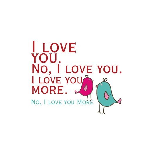 6921304947034 - NEW PRODUCTS,ANIMAL SERIES,FUNNY BIRD, I LOVE YOU MORE PICTURE FOR ZIPPERED PILLOW CASE 20X20 INCHES(TWO SIDE)