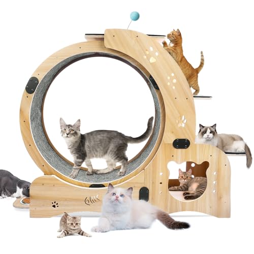6955609172266 - CAT SPORTS RUNNING WHEEL, 4-IN-1 CAT EXERCISE WHEEL, CATS WHEEL WOOD CLIMBING FRAME, CAT LITTER FITNESS WHEEL FOR INDOOR CATS,CLIMBING LADDERS,CAT SCRATCHING BOARD,CAT BOWLS,NATURAL WOOD