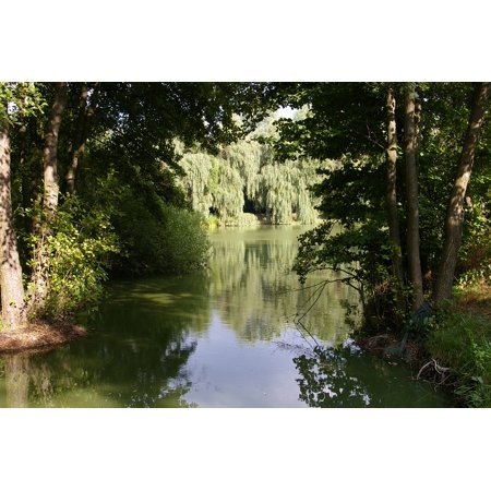 0696264219854 - CANVAS PRINT NATURE GREEN PECA LAKE REFLECTION FISHING LAKE STRETCHED CANVAS 10 X 14